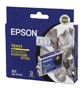 EPSON T049170 / Black (정품)   EPSON Stylus Photo R210 R230 R310 R350, EPSON Stylus RX510 RX630 RX650